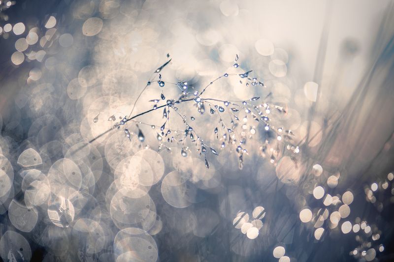 Декабрьское утро фото превью