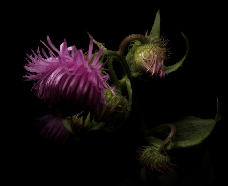 Состояние фото превью