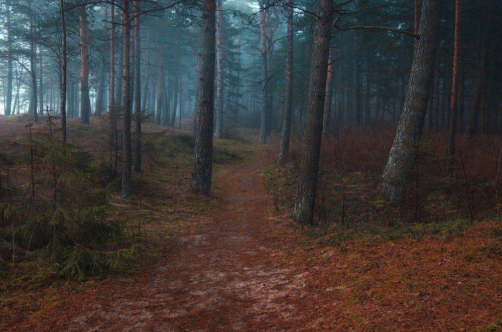 , Aleksandr Kljuchenkow