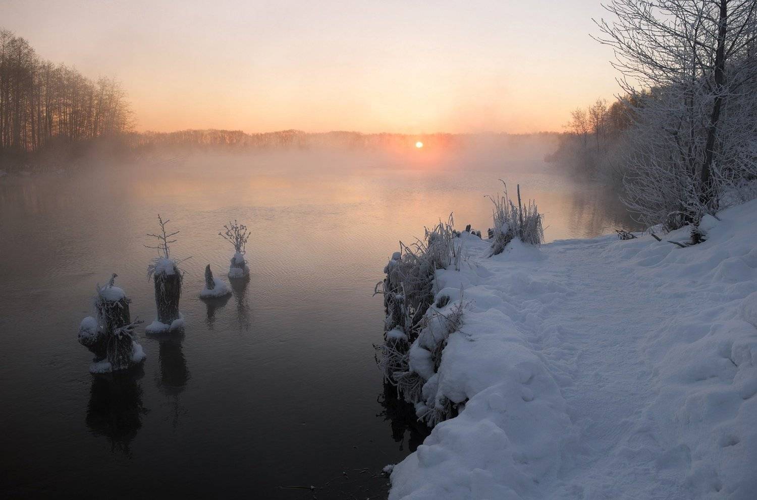 , Александр Пархоменко