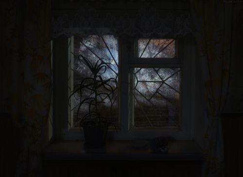 Грезы ночи