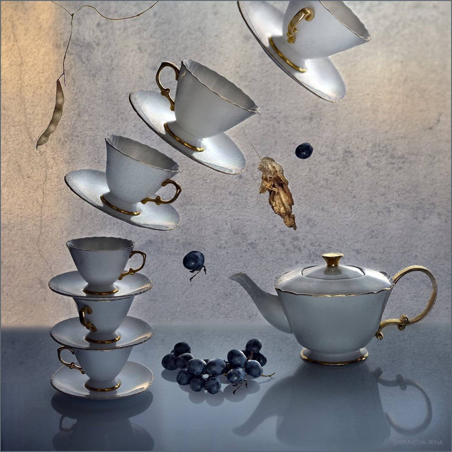 , Шипунова Ирина