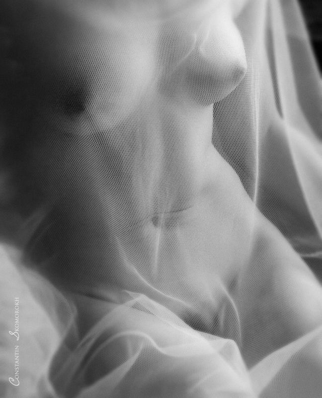 konstantin skomorokh, константин скоморох, kiev, киев, severodonetsk, северодонецк, ню, art nude, fine art, *** фото превью