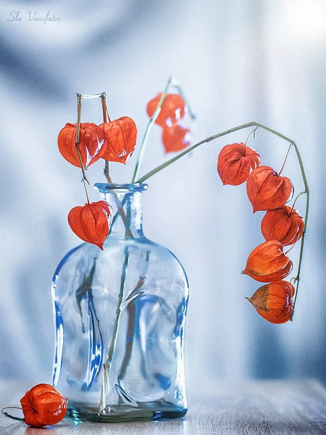 , Вячеслав Ванифатьев