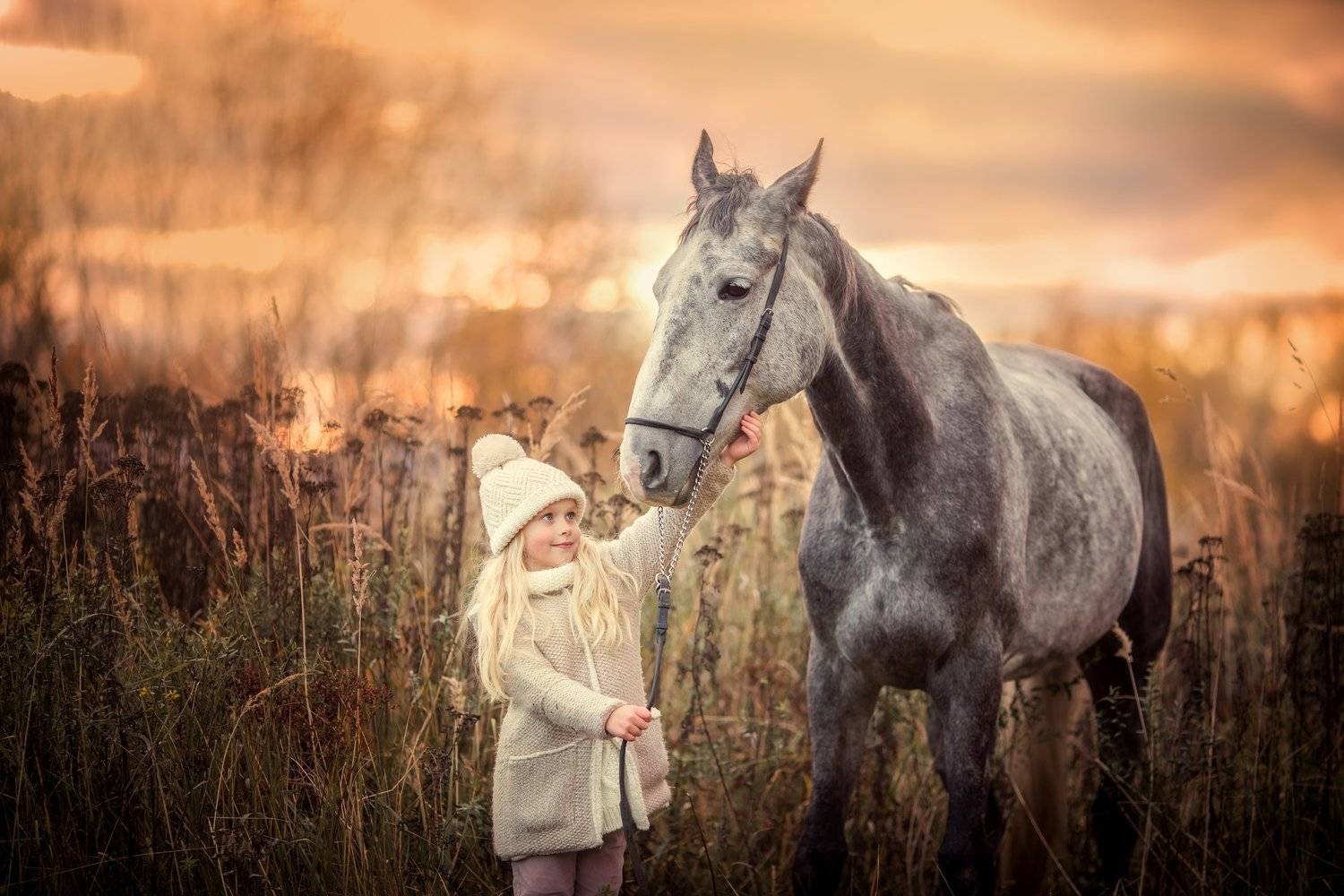 Девочка, лошадь, знакомство, закат, осень, Юлия Храпова