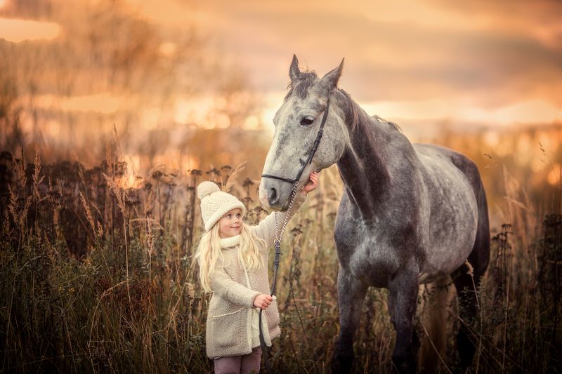 Девочка, лошадь, знакомство, закат, осень Первое знакомство. фото превью