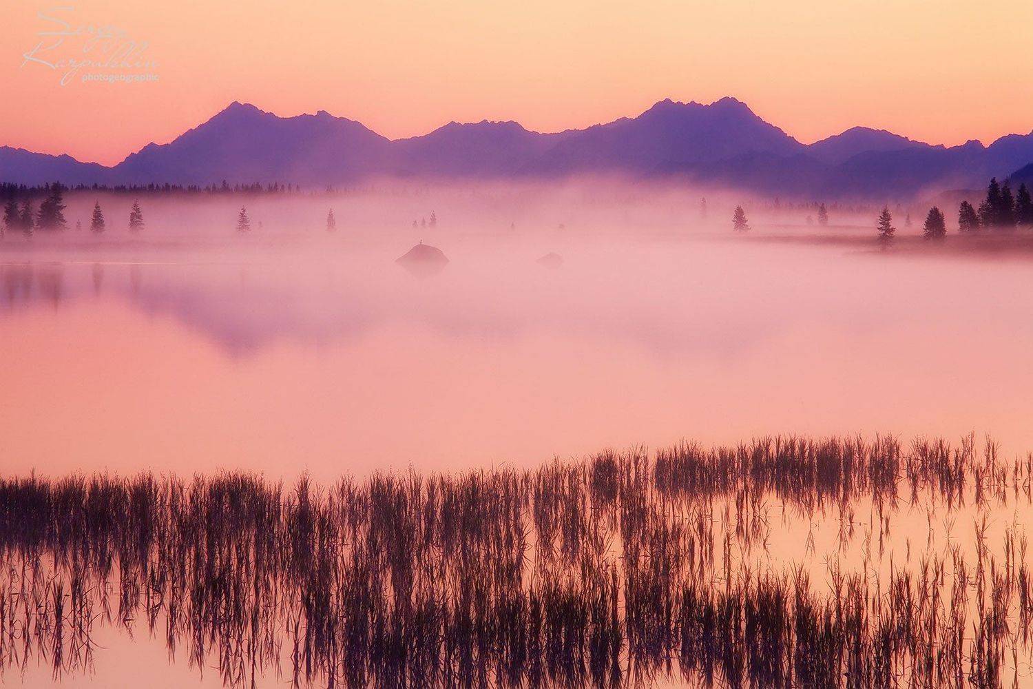 утро, туман, озеро, Сергей Карпухин