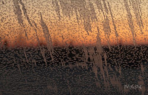 Морозное утро