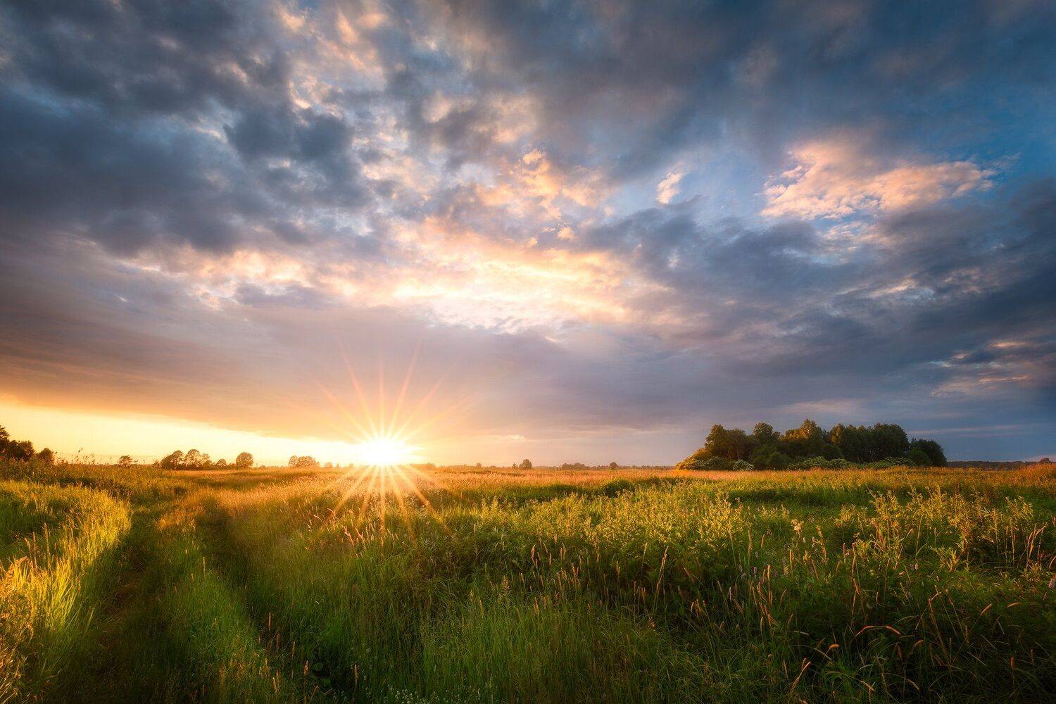 summer meadwo sunset sun sky colors warm light mood clouds, Maciej Warchoł