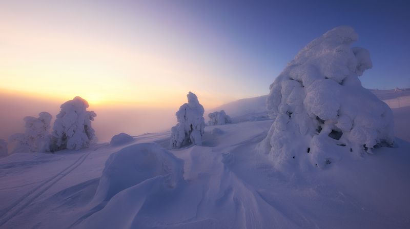 finland, lappi, lapland, snow, winter Вечер в Лапландии фото превью