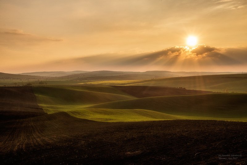 morawski zachód фото превью