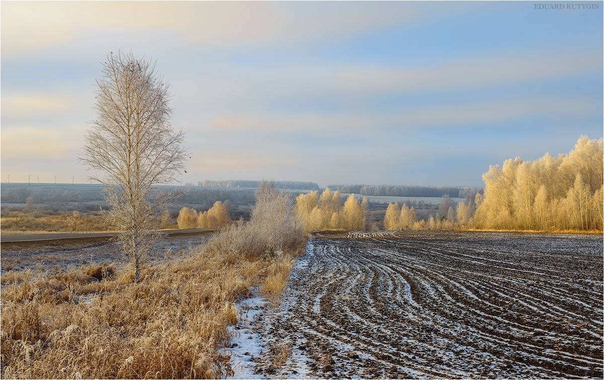 , Кутыгин Эдуард