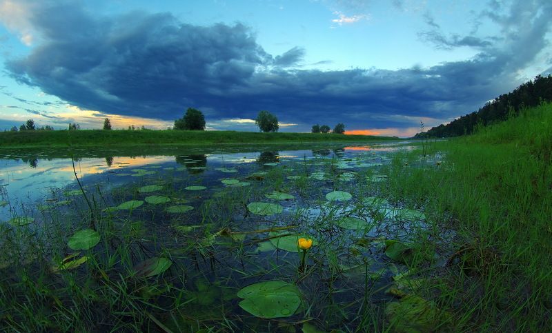 Летний вечер фото превью