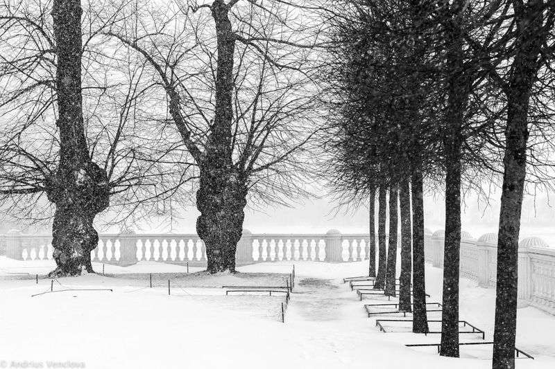 Два и остальные фото превью