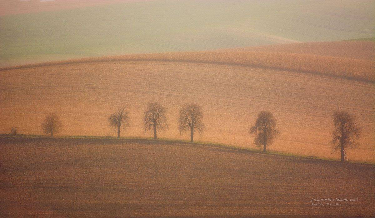 , Jarosław Sokołowski