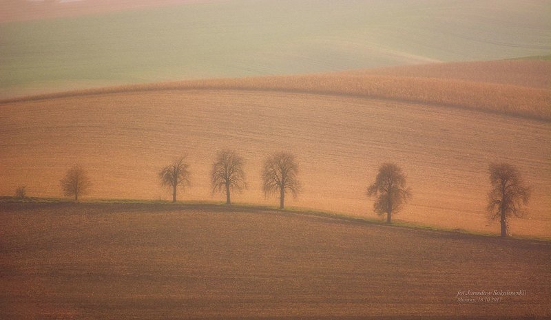 behind the fog фото превью