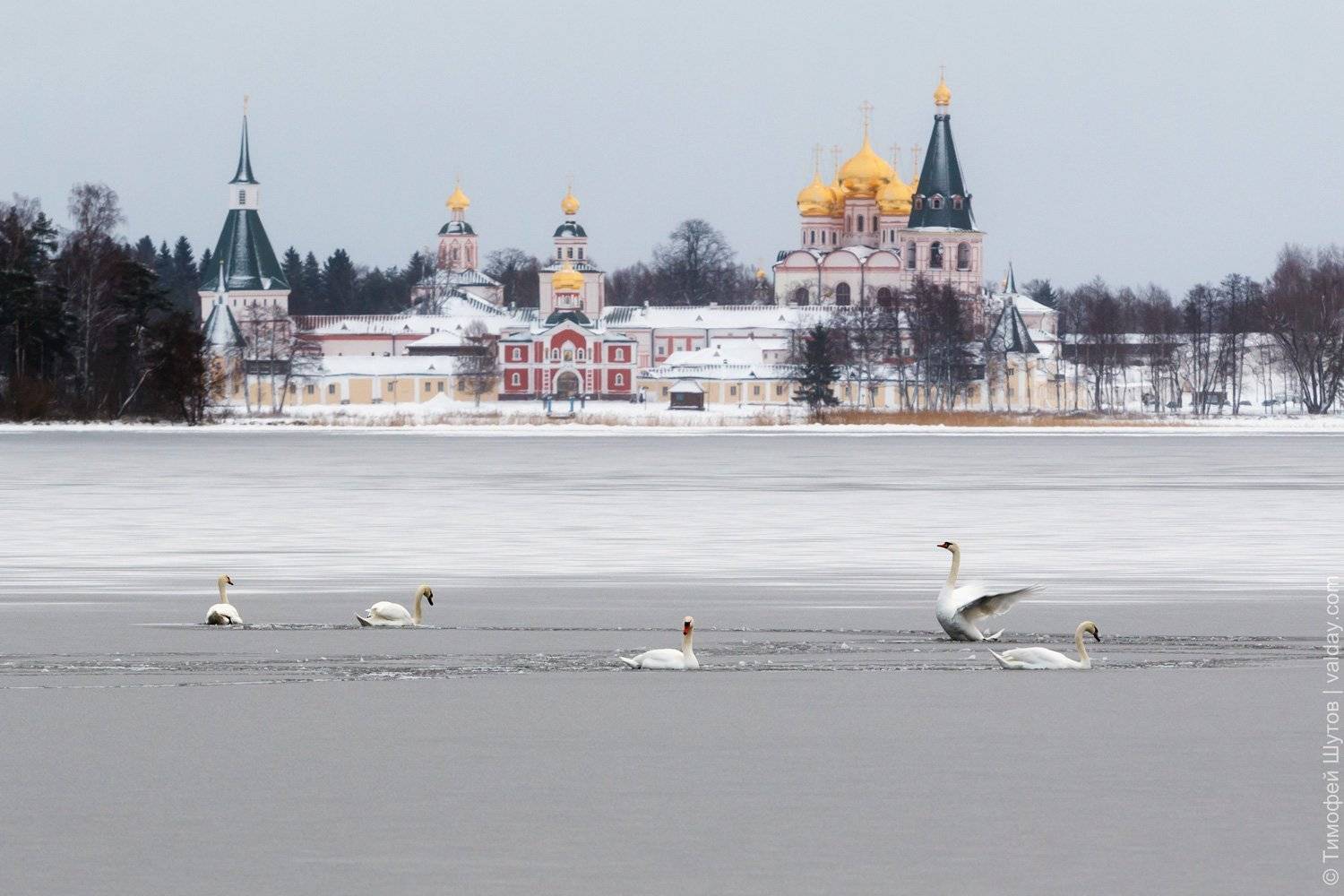 , Тимофей Шутов