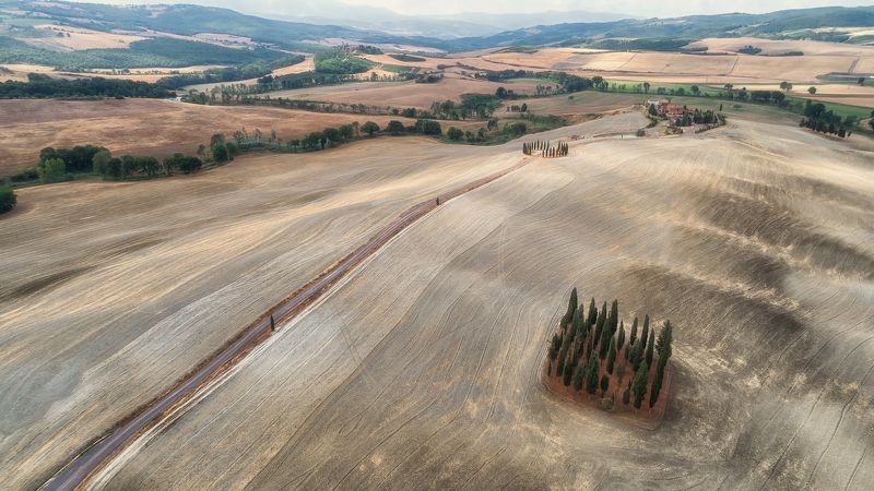 i cipressi фото превью