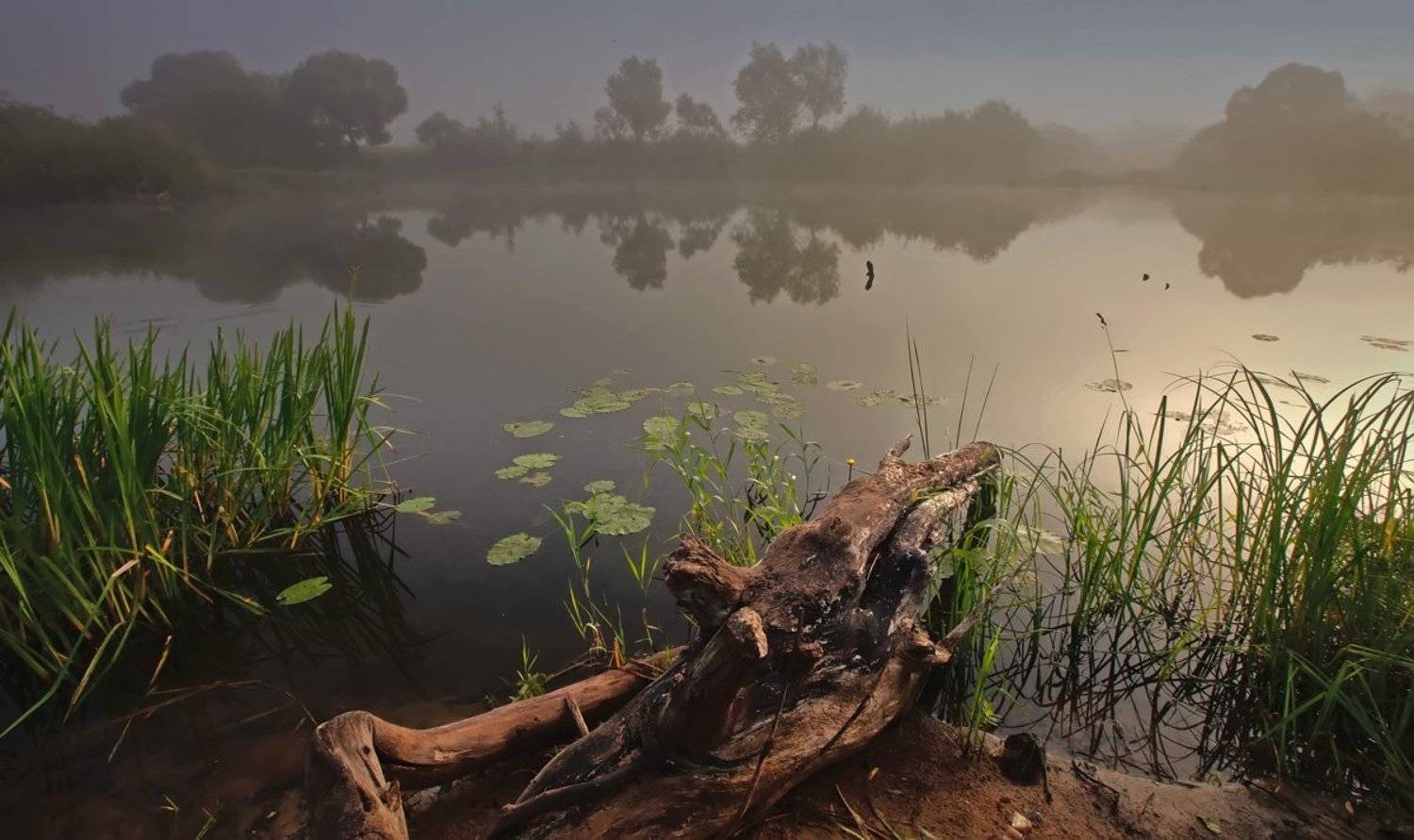 , Валерий Кондратов