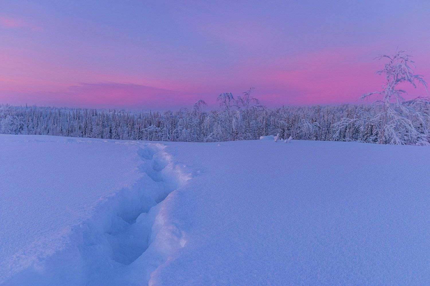ямал , зима , природа, салехард , январь,  ямал ,север, Настя Братка