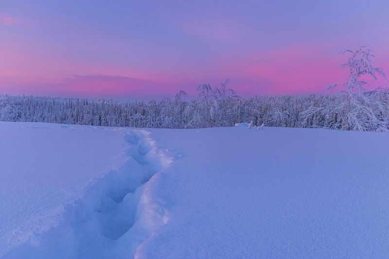 ямал , зима , природа, салехард , январь,  ямал ,север \