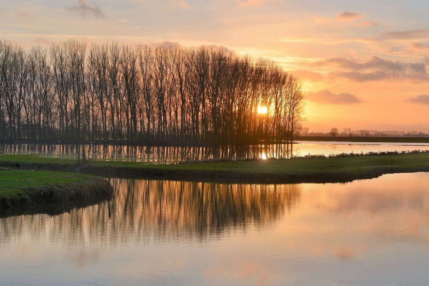 , Johny Hemelsoen