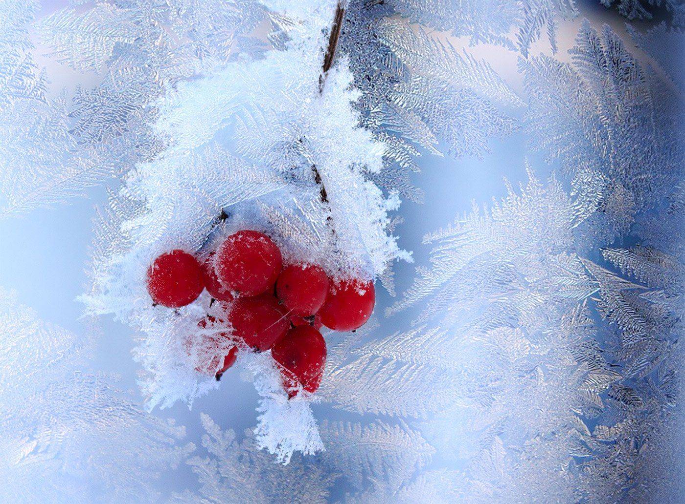 , Алексей Герасимов