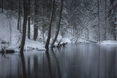 Зимние этюды