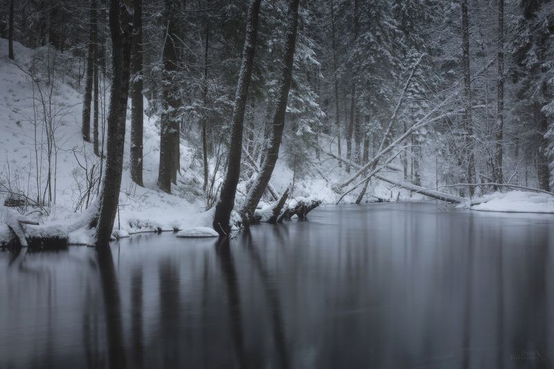 зима, снег, ель, лес, река, мост, комарово, ильичёво Зимние этюды фото превью