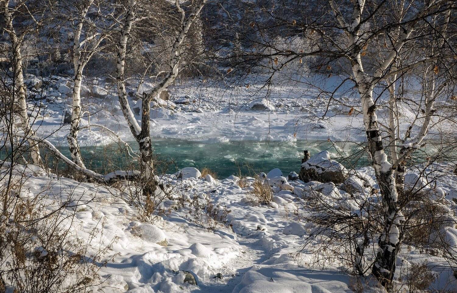 катунь, январь, Анатолич