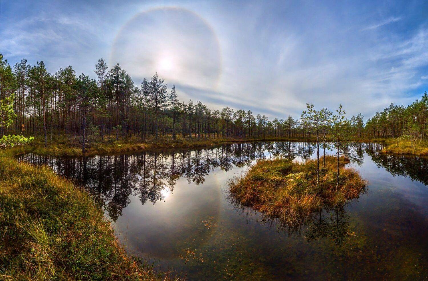 фототур, ленинградская область, деревья, сосна, остров, гало, солнце, болото, фотопроект, осень., Лашков Фёдор
