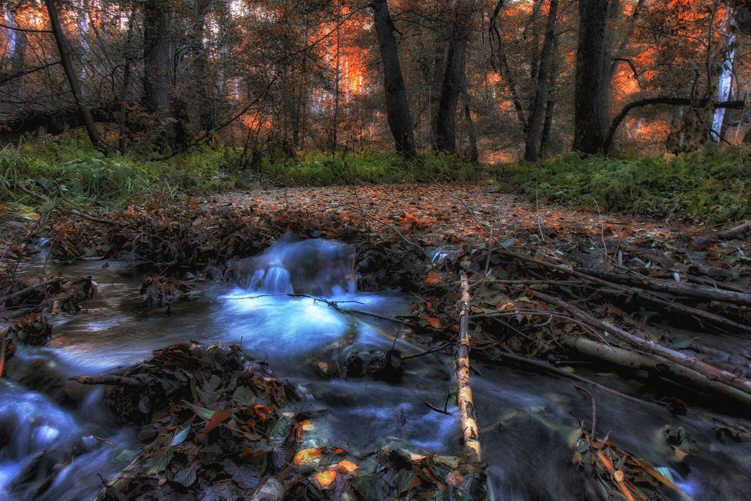 , Павел Сагайдак