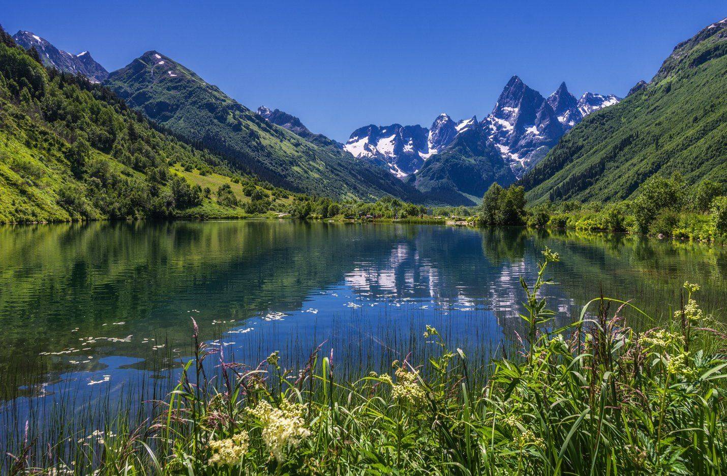 , Игорь Мелекесцев