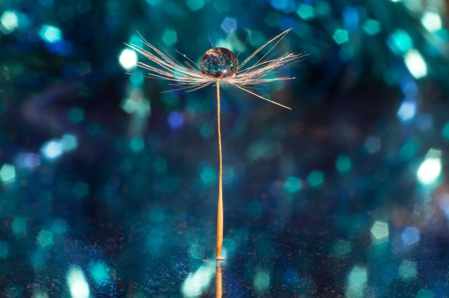 , Викулов Николай