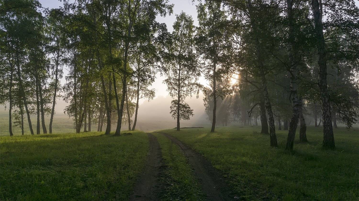 , Леонид Максименко