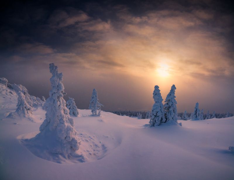 Краденое солнце фото превью