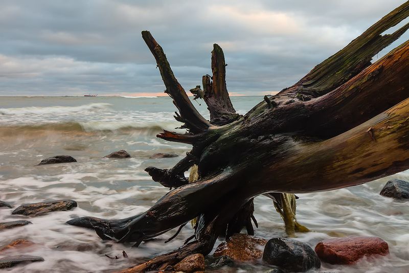 ЗАОСТРОВЬЕ фото превью
