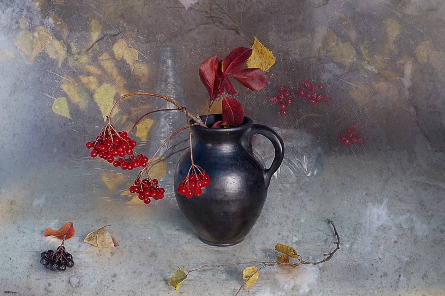 осень,калина,красная,фото-натюрморт,вера павлухина,, Вера Павлухина