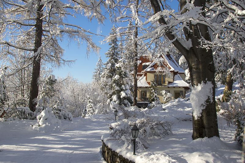 Домик в деревне фото превью
