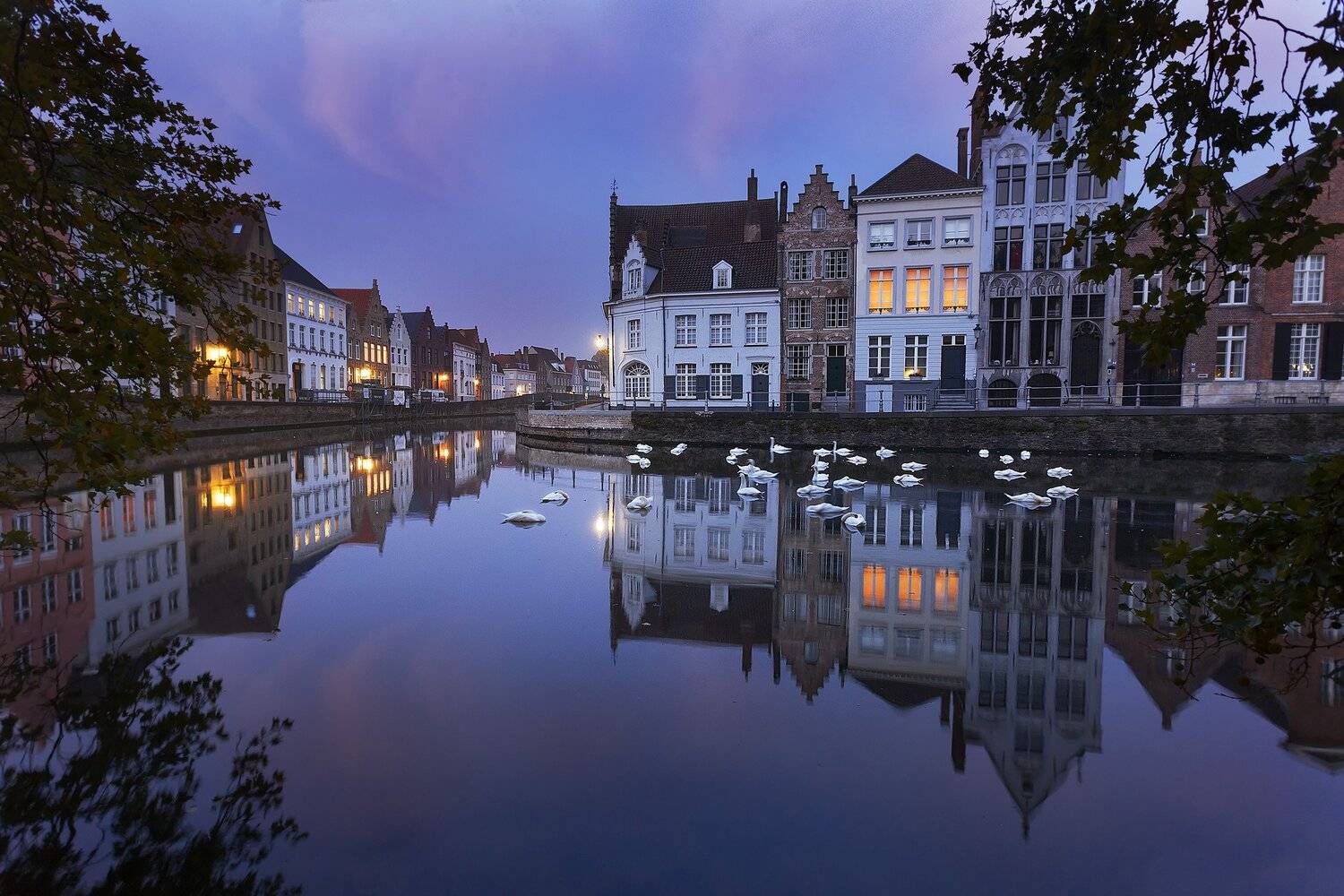 брюгге, отражение, лебеди, Андрей Родионов