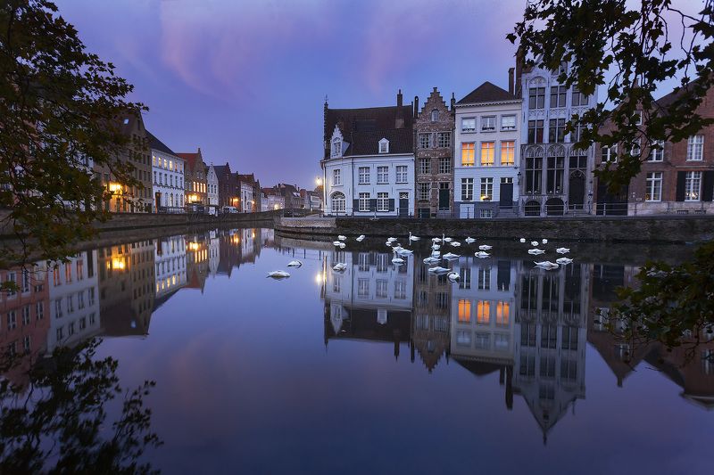 брюгге, отражение, лебеди Предрассветный Брюгге фото превью