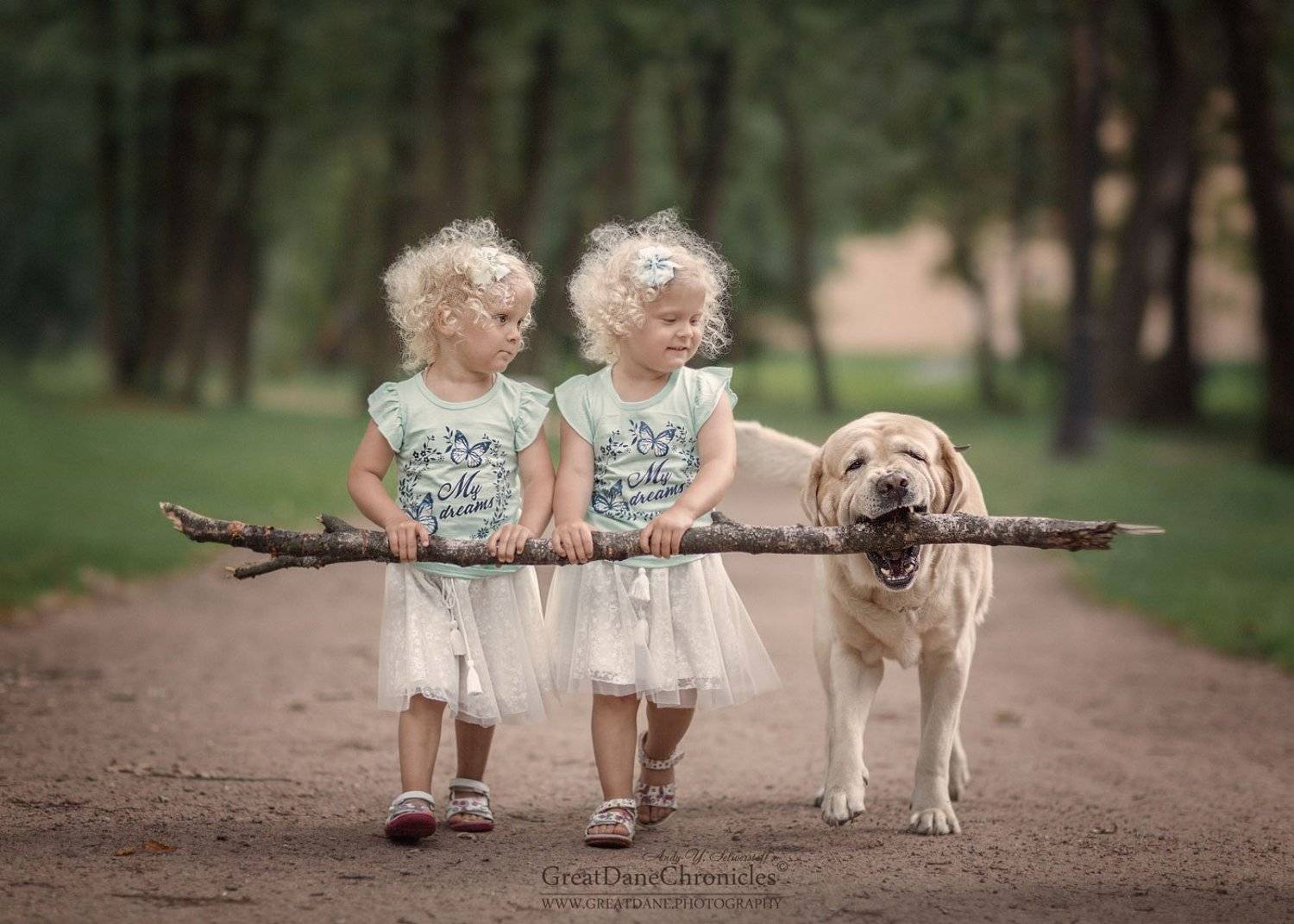 , Андрей Селиверстов