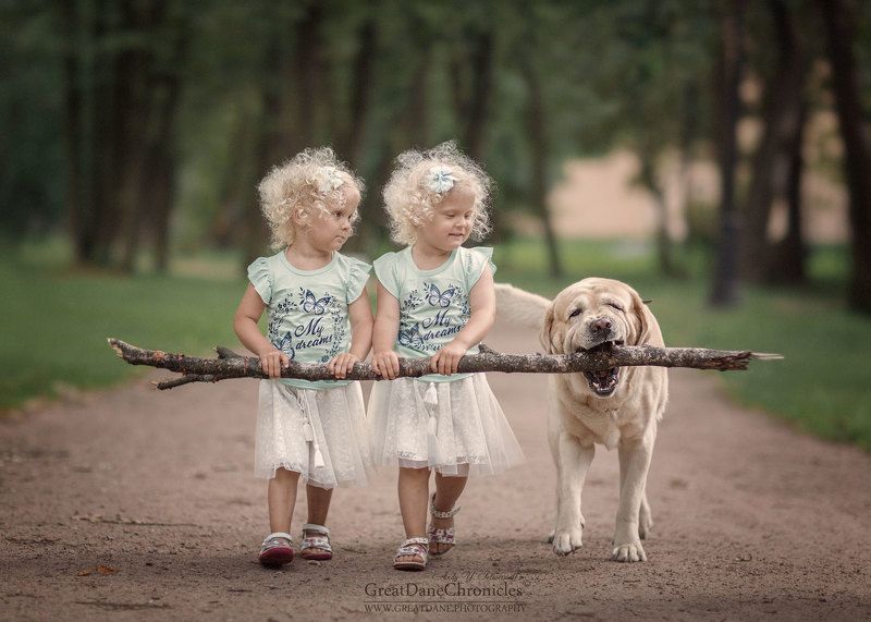 Анжелика, Вероника и их верный помощник Тедди фото превью