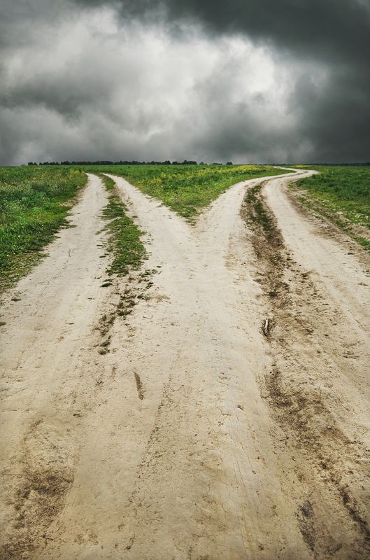 дороги, перепутье, деревня, природа, горизонт, небо, тучи, поле, лес, анна салтыкова, весна *** фото превью