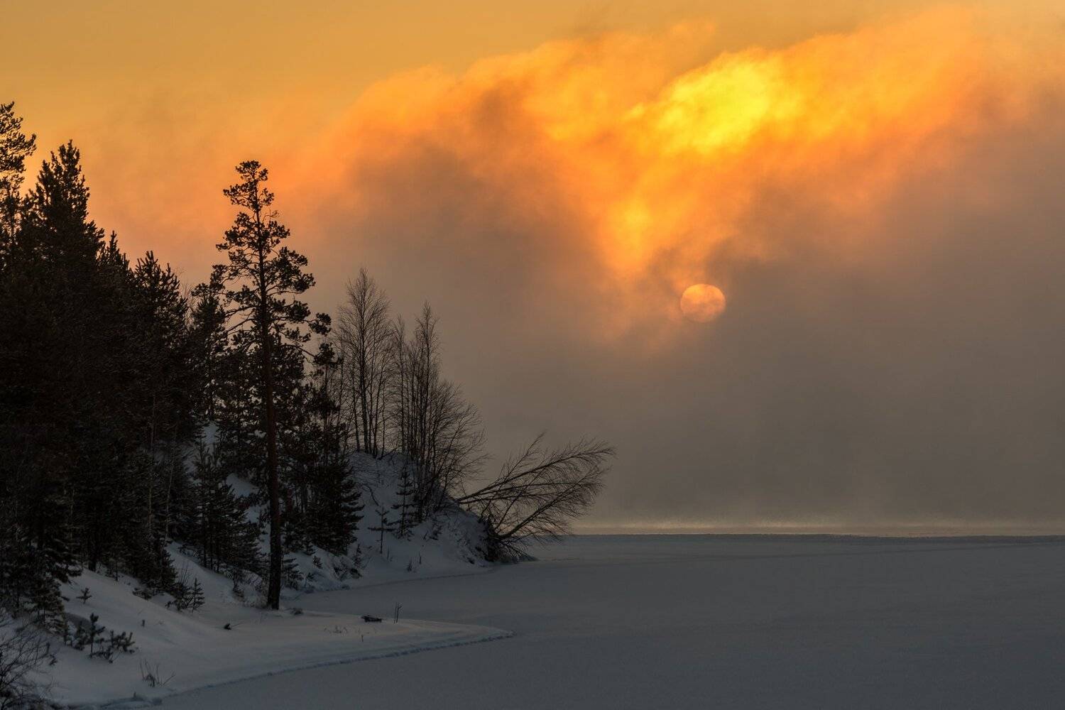печора, Анатолий