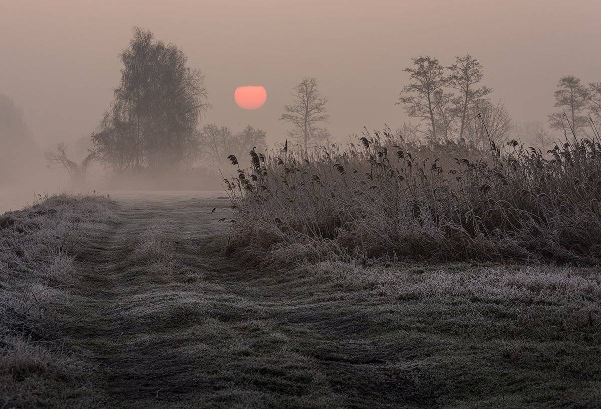 , Sławek Przybylski