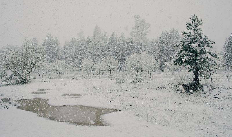 Такого снегопада.... фото превью