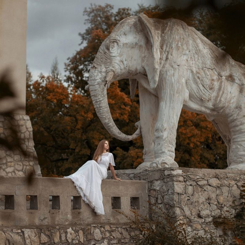 девушка, дом, мистика, архитектура, модерн, призрак, girl, mystic, ghost, house House with elephants фото превью