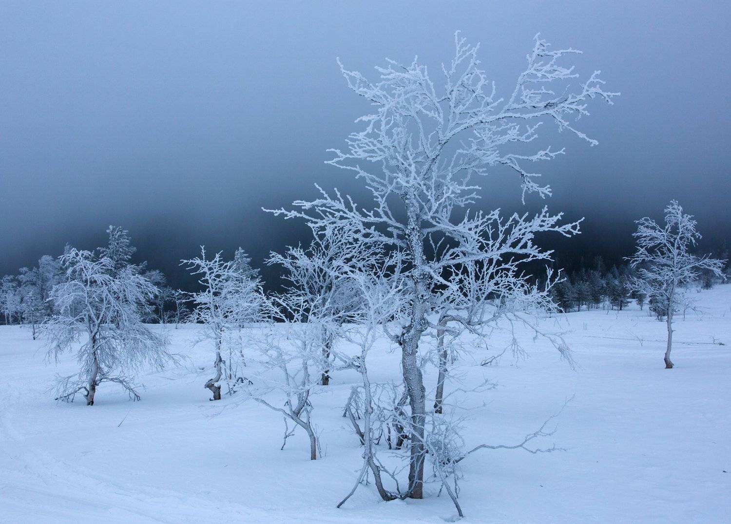 зима, горы, урал, деревья, снег, иней, облака, антон селезнев, путешествие, Антон Селезнев