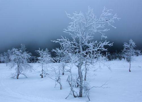 На склоне Главного Уральского хребта